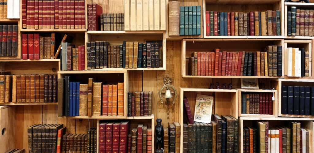 indexed pages in search engine